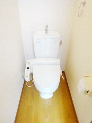 Toilet. With washlet