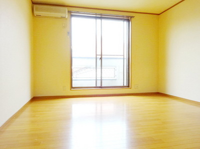 Living and room. Bright room