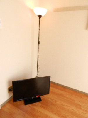 Other. 32-inch TV