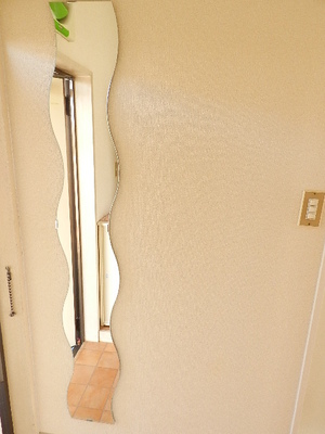 Other. Full-length mirror Entrance side