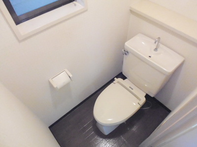Toilet. Toilet