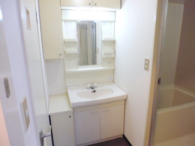 Washroom. Wash basin