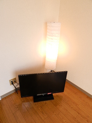 Other. 32-inch TV