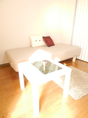 Other. bed table cushion