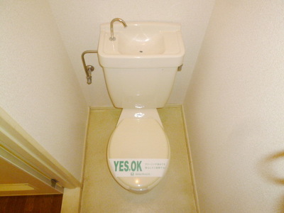 Toilet. Toilet