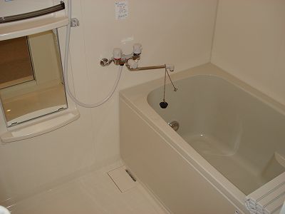 Bath. Spacious bathroom