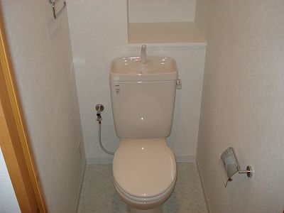Toilet. Intimate toilet