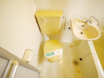Toilet. Toilet