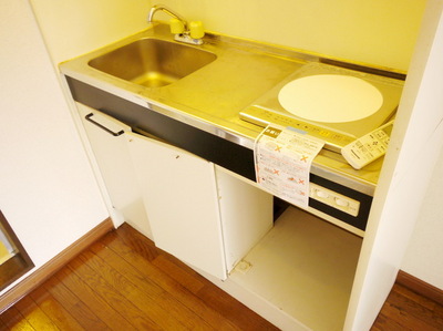 Kitchen. IH cooking heater