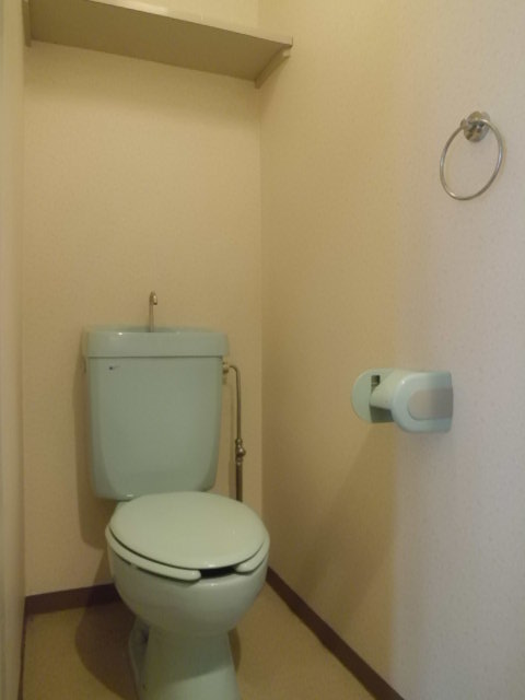 Toilet. It is also useful to put such as hygiene products there is a shelf to the top.