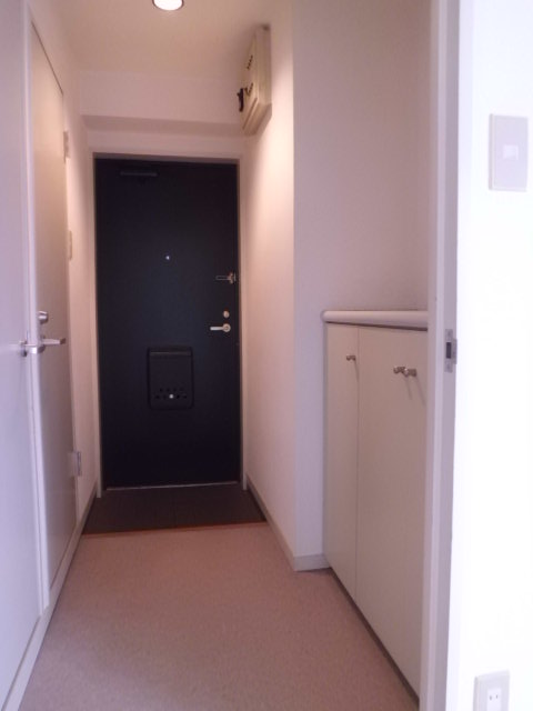 Entrance. Entrance. There are shoe box in the hallway part