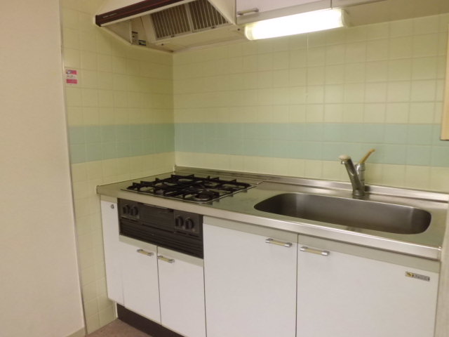 Kitchen. Grill with a kitchen. Single lever faucet
