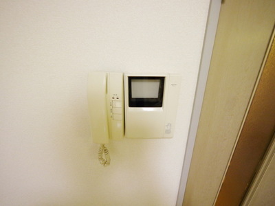 Security. Crime prevention surface of the peace of mind