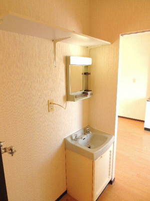 Washroom. Separate vanity Washing machine in the room