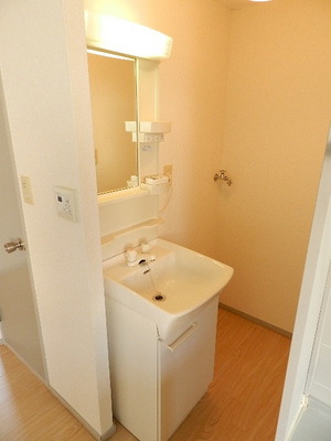 Washroom. Separate vanity