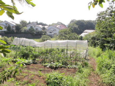 Other common areas. Home garden free