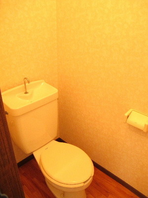Toilet. Toilet