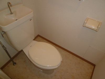 Toilet. Toilet
