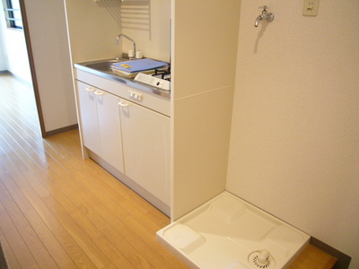 Other room space. Washing machine in the room