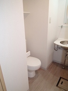 Toilet. Toilet with cleanliness