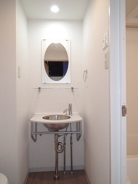 Washroom. Stylish wash basin