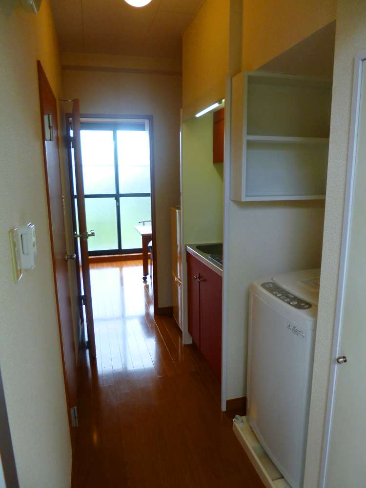 Entrance. Corridor section from the entrance to the living room.