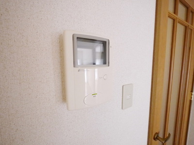 Security. TV monitor Hong