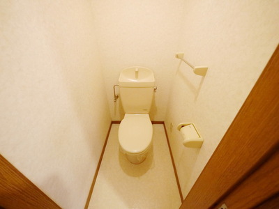 Toilet. Toilet with cleanliness