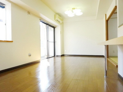 Living and room. Bright LDK