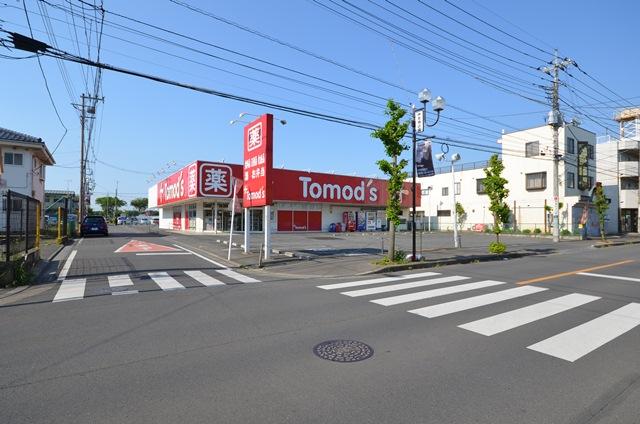 Drug store. Tomod's up to 400m