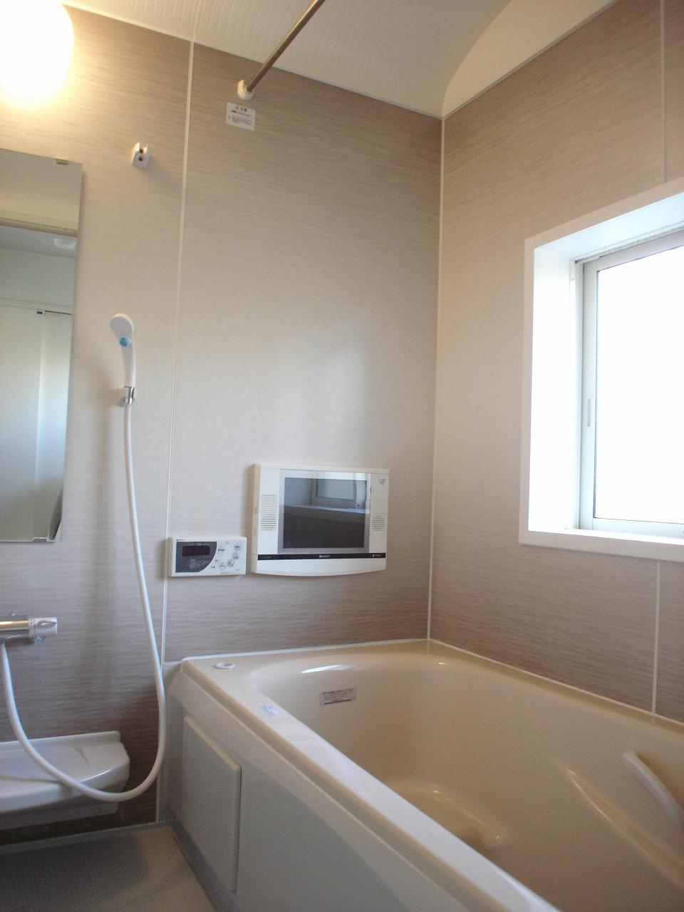 Bathroom. Indoor (January 2013) Shooting