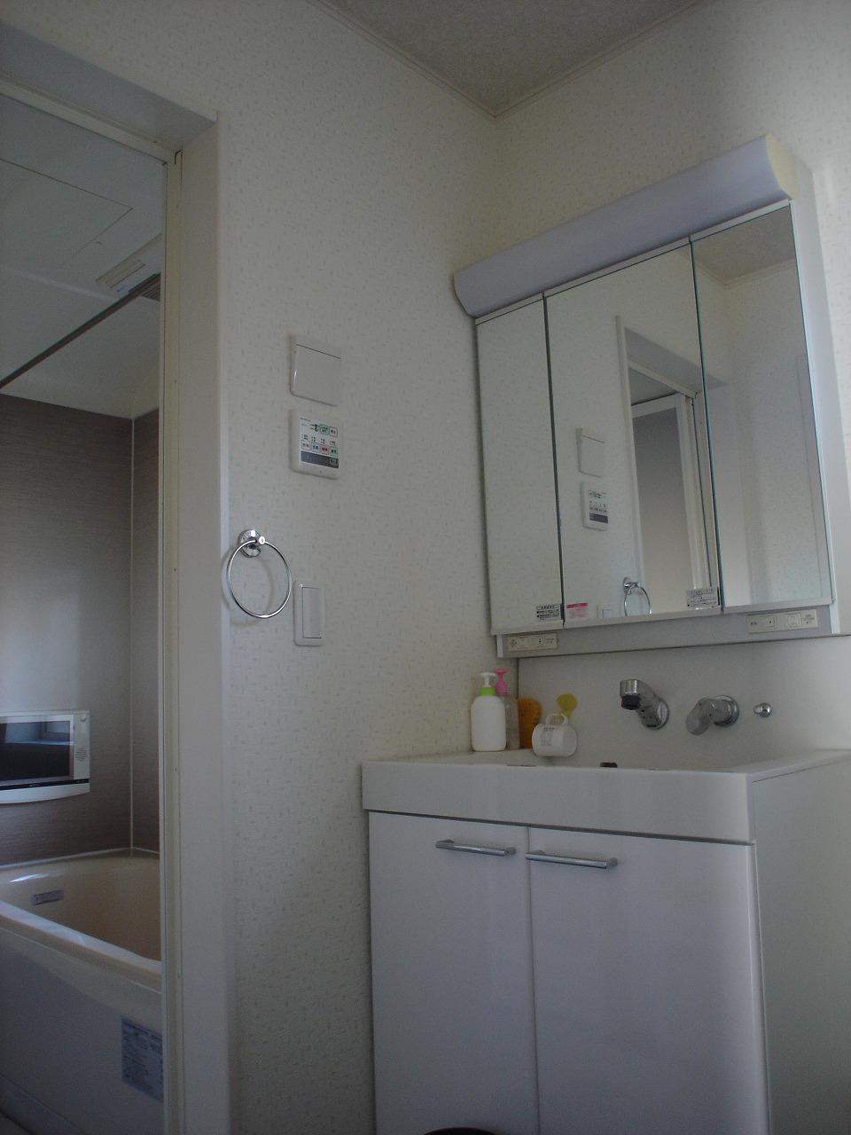 Wash basin, toilet. Indoor (January 2013) Shooting