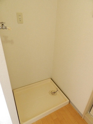 Other room space. Washing machine in the room
