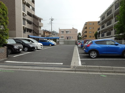 Parking lot. Parking lot
