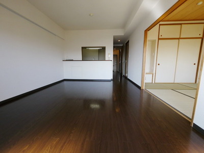 Living and room. Open living