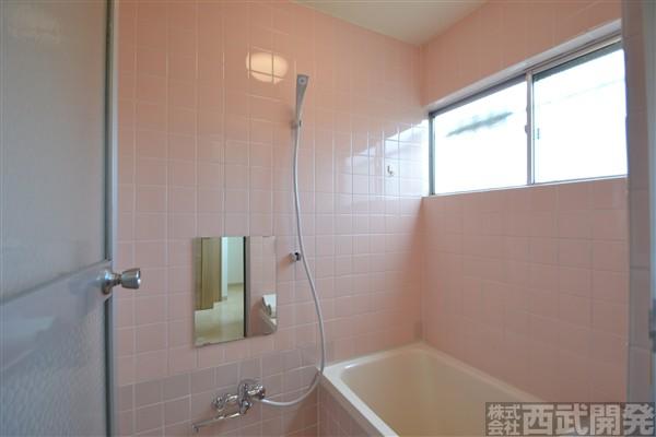 Bathroom. Bathing of tile!
