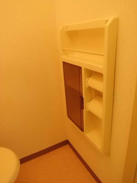 Toilet. Paper holder has little storage.