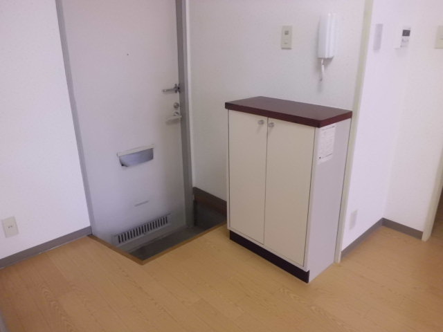 Entrance. There cupboard.