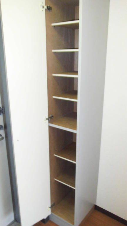 Entrance. Shoe box