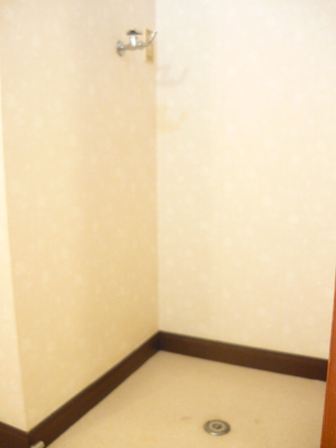 Other room space. Indoor Laundry Storage