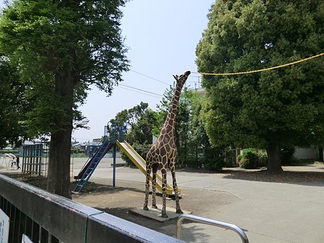 Primary school. Tokorozawa Municipal ShinSakae to elementary school 240m