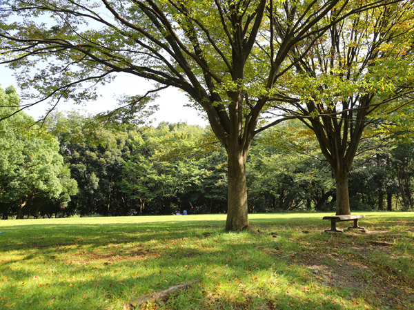 Surrounding environment. Tokorozawa Aviation Memorial Park (about 1120m / A 14-minute walk)