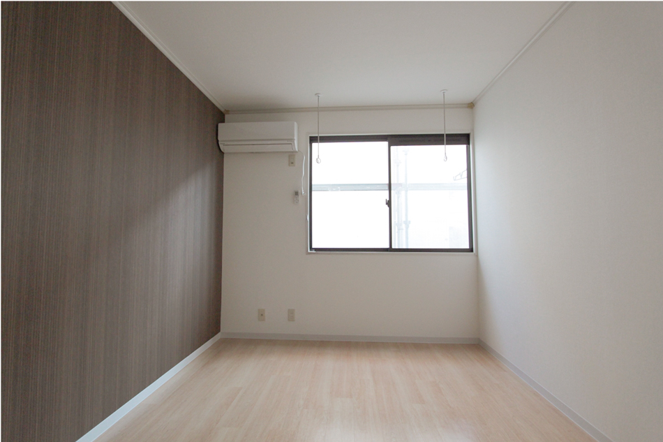 Living and room. I want to put a modern items!