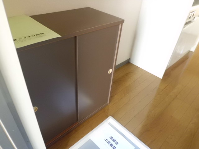 Entrance. Cupboard with