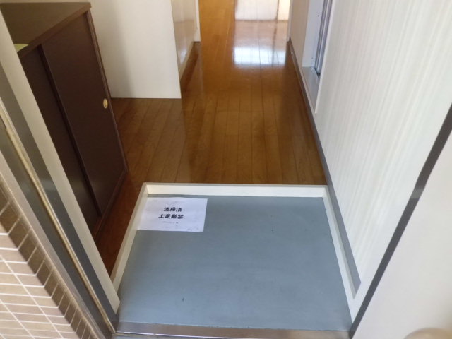 Entrance. Entrance. It is relatively stepped low entrance.