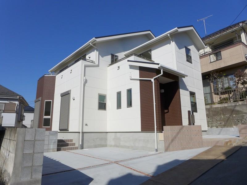 Local appearance photo. Appearance of elegant color