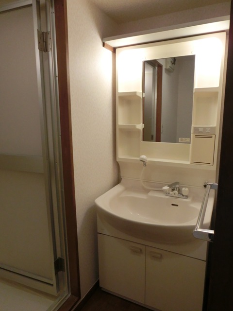 Washroom. Shower with separate wash basin. Convenient for a busy morning