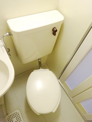 Toilet. Toilet with cleanliness