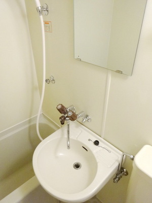 Washroom. There washbasin