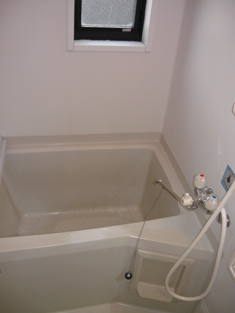 Bath. Loose healing space in another bus toilet